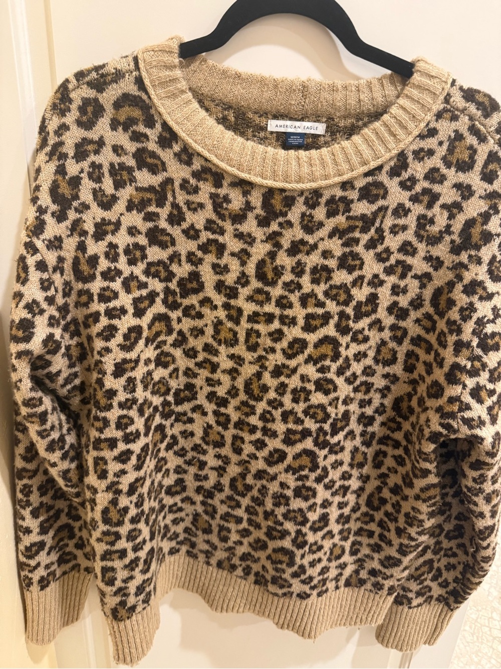 American Eagle Outfitters Tan
Leopard Print Sweater